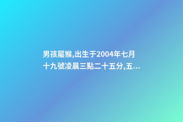 男孩屬猴,出生于2004年七月十九號凌晨三點二十五分,五行缺什么 2004年屬猴時辰命運，2004年幾點出生更好